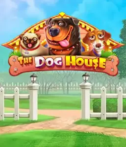 Experience Pragmatic Play's The Dog House adventure, featuring a delightful experience through lovable dogs. Engage in gameplay elements such as free spins, designed for providing exciting wins. Ideal for those who enjoy a lighthearted theme alongside lucrative rewards.